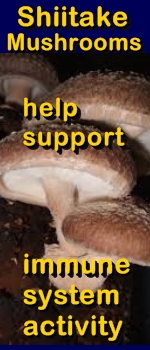 Ormus Minerals -SHITAKE Mushrooms can help support immune system activity