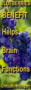 Ormus Minerals - Ormus Brain Balance ingredient blueberries
