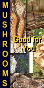 Ormus Minerals ORMUS Rich Mushrooms - SHIITAKE Mushroom 