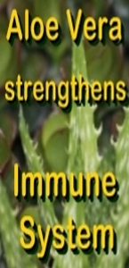 Ormus Minerals Aloe Vera Juice from Gel with Dead Sea Salt Magnesium Oil helps immune system